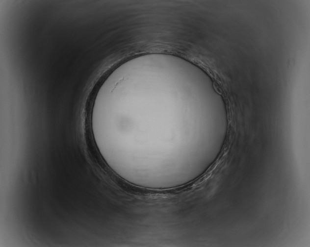 X0000099580242200805160751