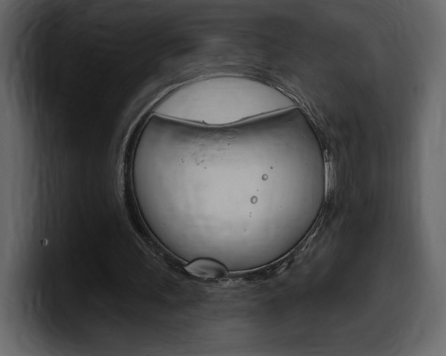 X0000099580243200805160751
