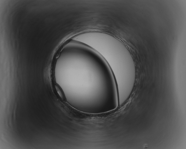 X0000099580244200805160751