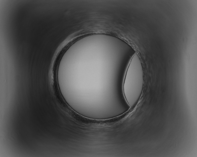 X0000099580246200805160751