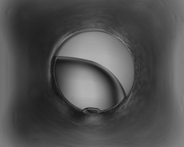 X0000099580248200805160751