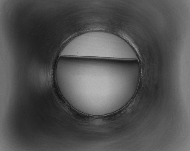 X0000099580249200805160751