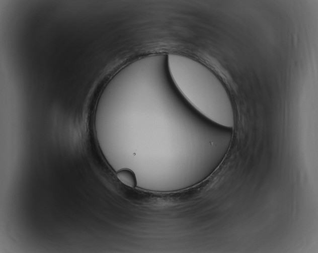 X0000099580250200805160752