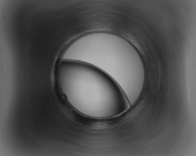 X0000099580252200805160752