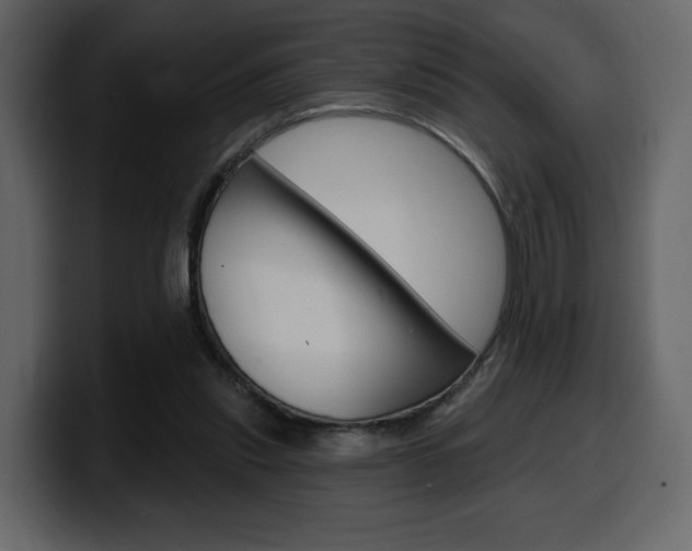 X0000099580253200805160752