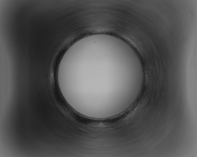 X0000099580254200805160752