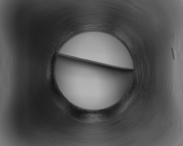 X0000099580255200805160752