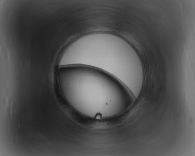 X0000099580256200805160752