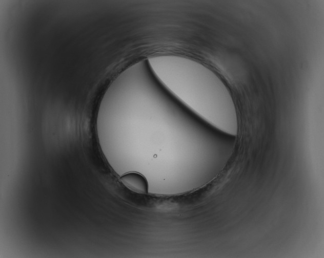 X0000099580258200805160752