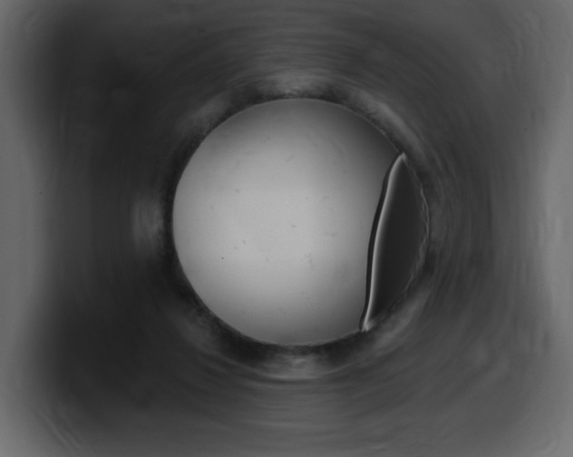 X0000099580260200805160752