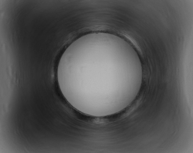 X0000099580261200805160752