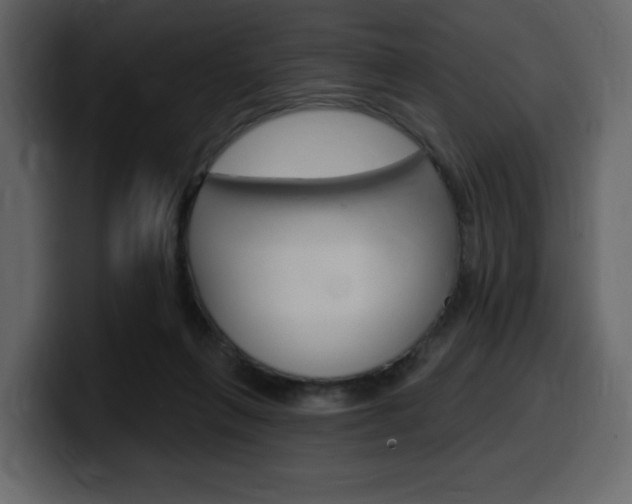 X0000099580263200805160752