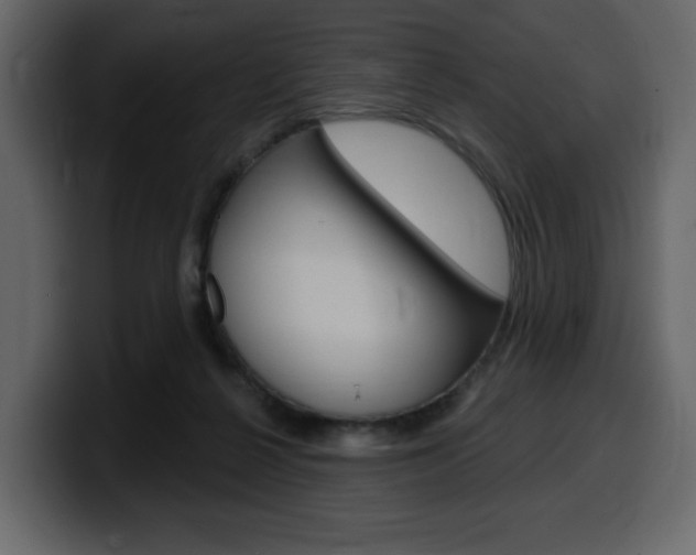 X0000099580264200805160752