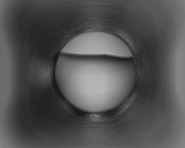 X0000099580265200805160752