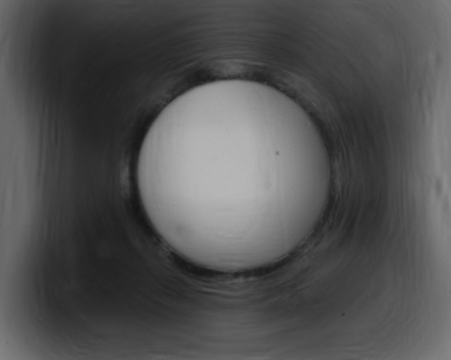 X0000099580267200805160752