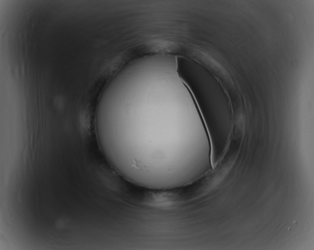 X0000099580268200805160752
