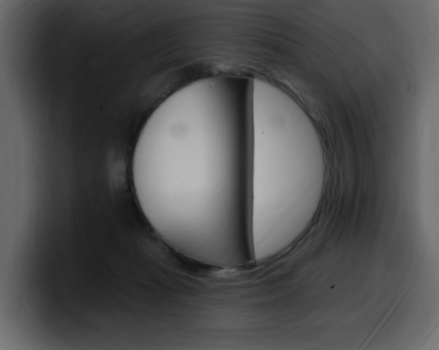 X0000099580269200805160752