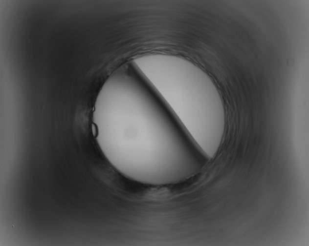 X0000099580271200805160752