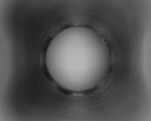 X0000099580272200805160752