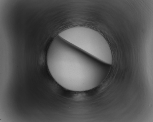 X0000099580274200805160752
