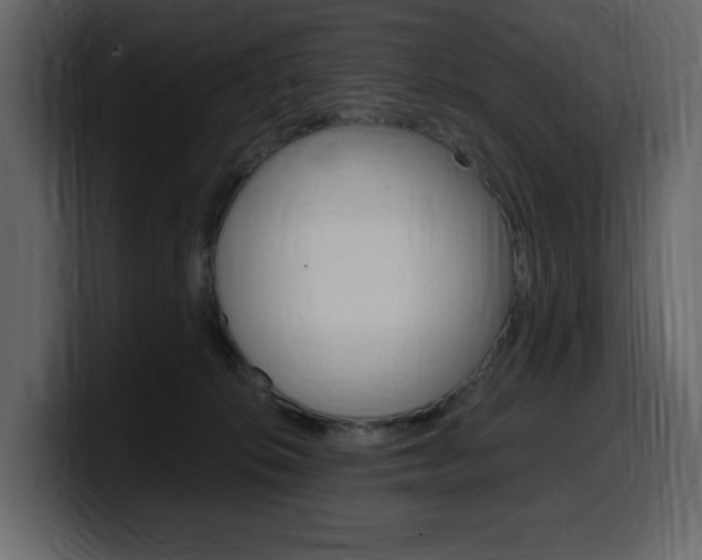 X0000099580276200805160752