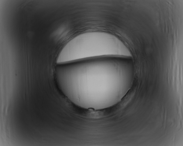 X0000099580277200805160752