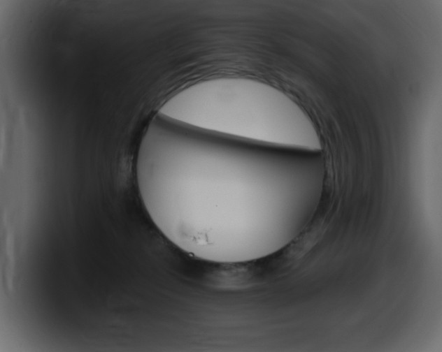 X0000099580278200805160752