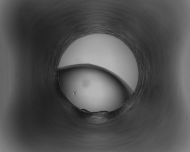 X0000099580280200805160752