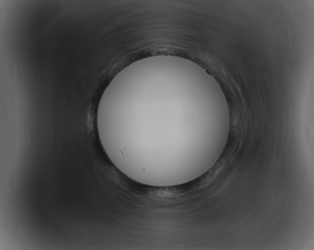 X0000099580282200805160752