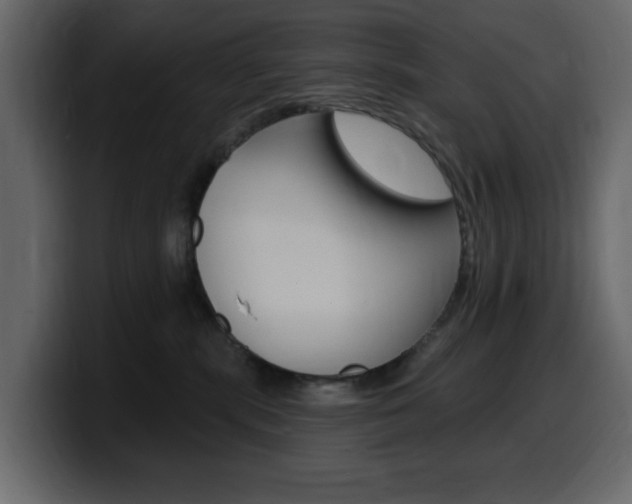 X0000099580283200805160752