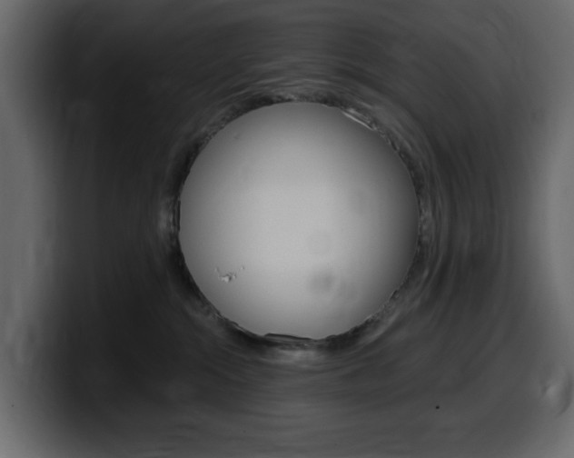 X0000099580284200805160752