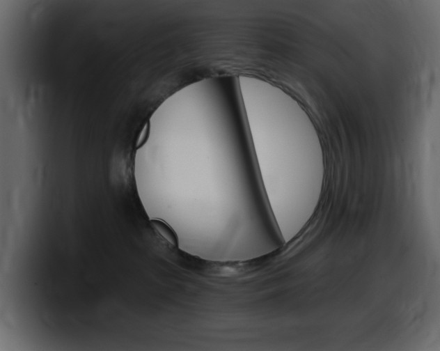 X0000099580285200805160752