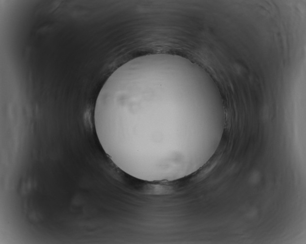 X0000099580286200805160752