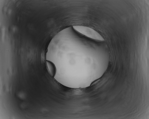 X0000099580287200805160752
