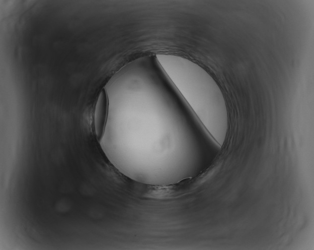 X0000099580288200805160752