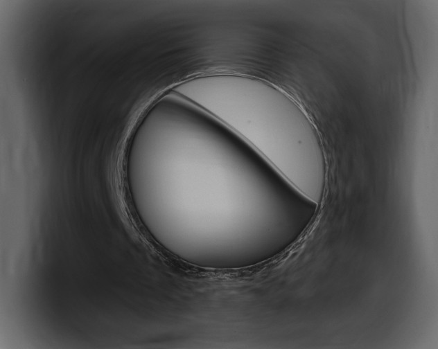X0000099580289200805160751