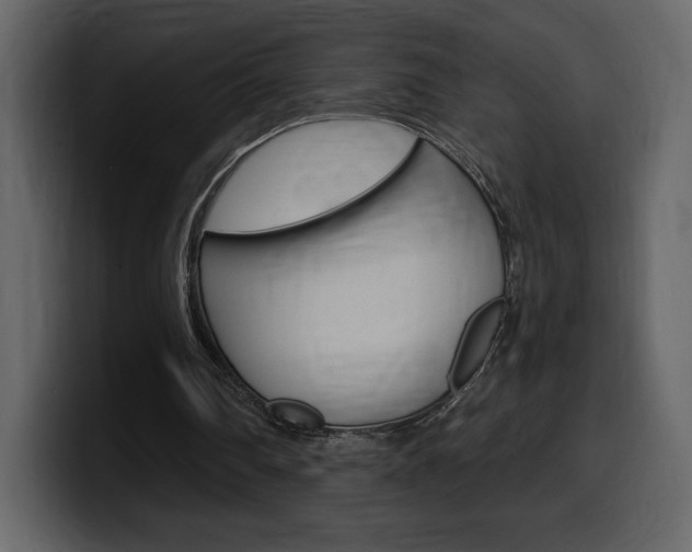 X0000099580290200805160751