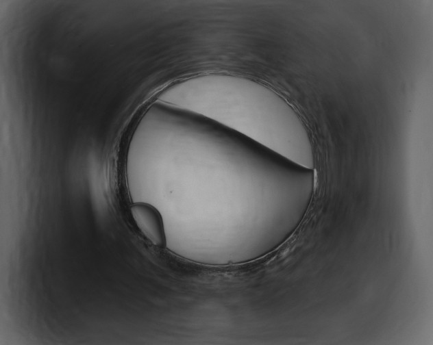 X0000099580291200805160751