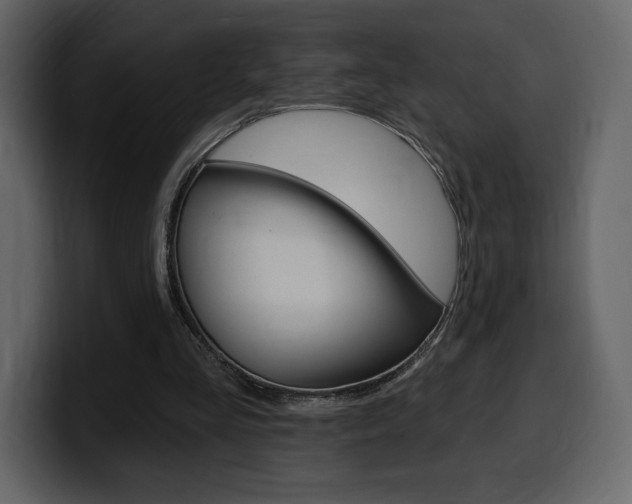 X0000099580293200805160751