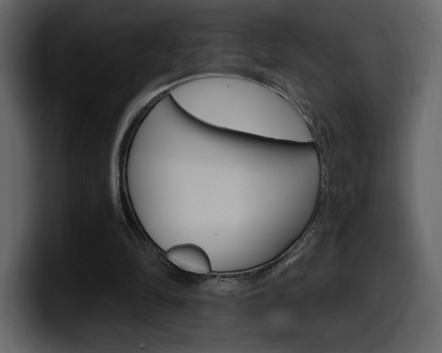 X0000099580294200805160751