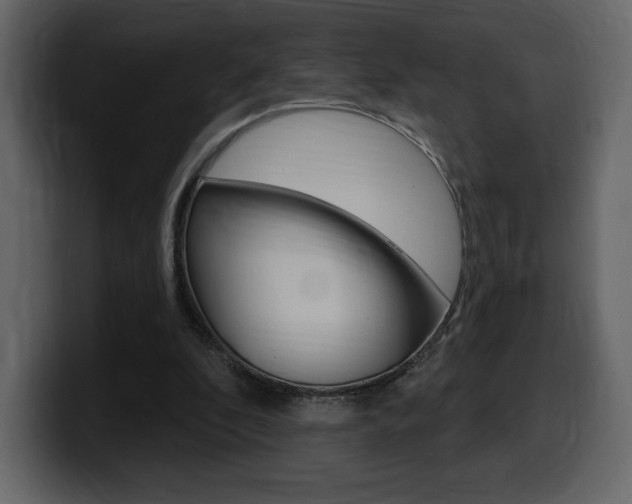 X0000099580296200805160751