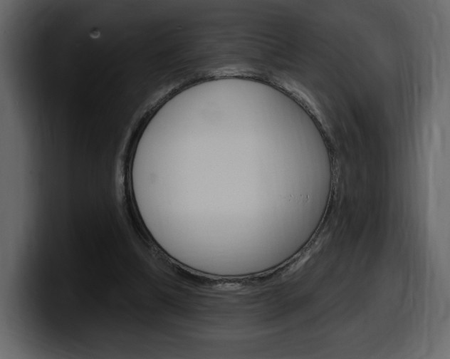 X0000099580298200805160751