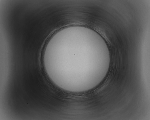 X0000099580300200805160751