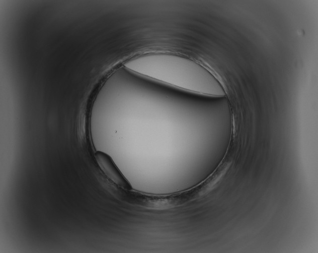 X0000099580301200805160751