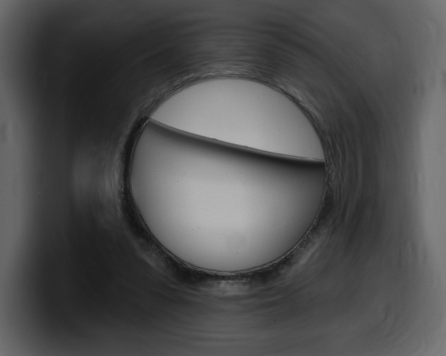 X0000099580303200805160751