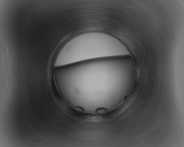 X0000099580304200805160751