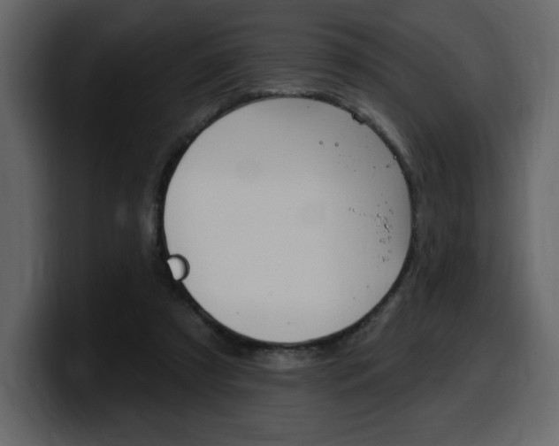X0000099580305200805160751
