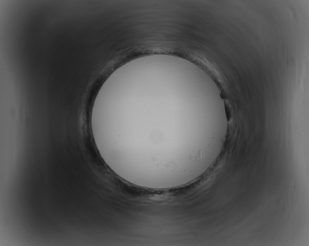 X0000099580306200805160751