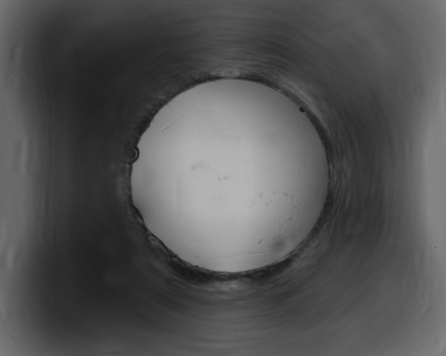 X0000099580307200805160751
