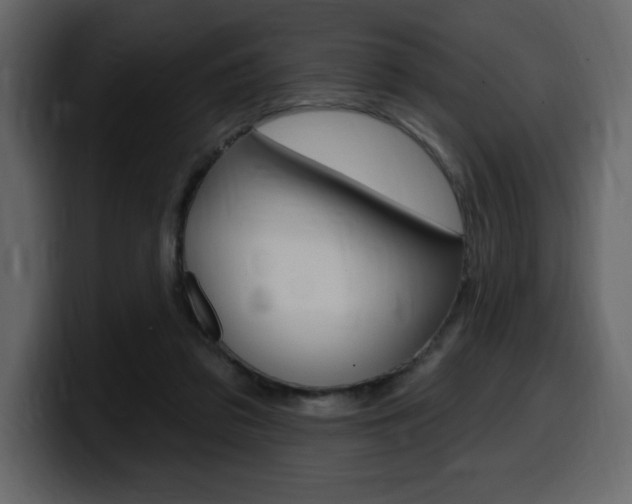 X0000099580309200805160751